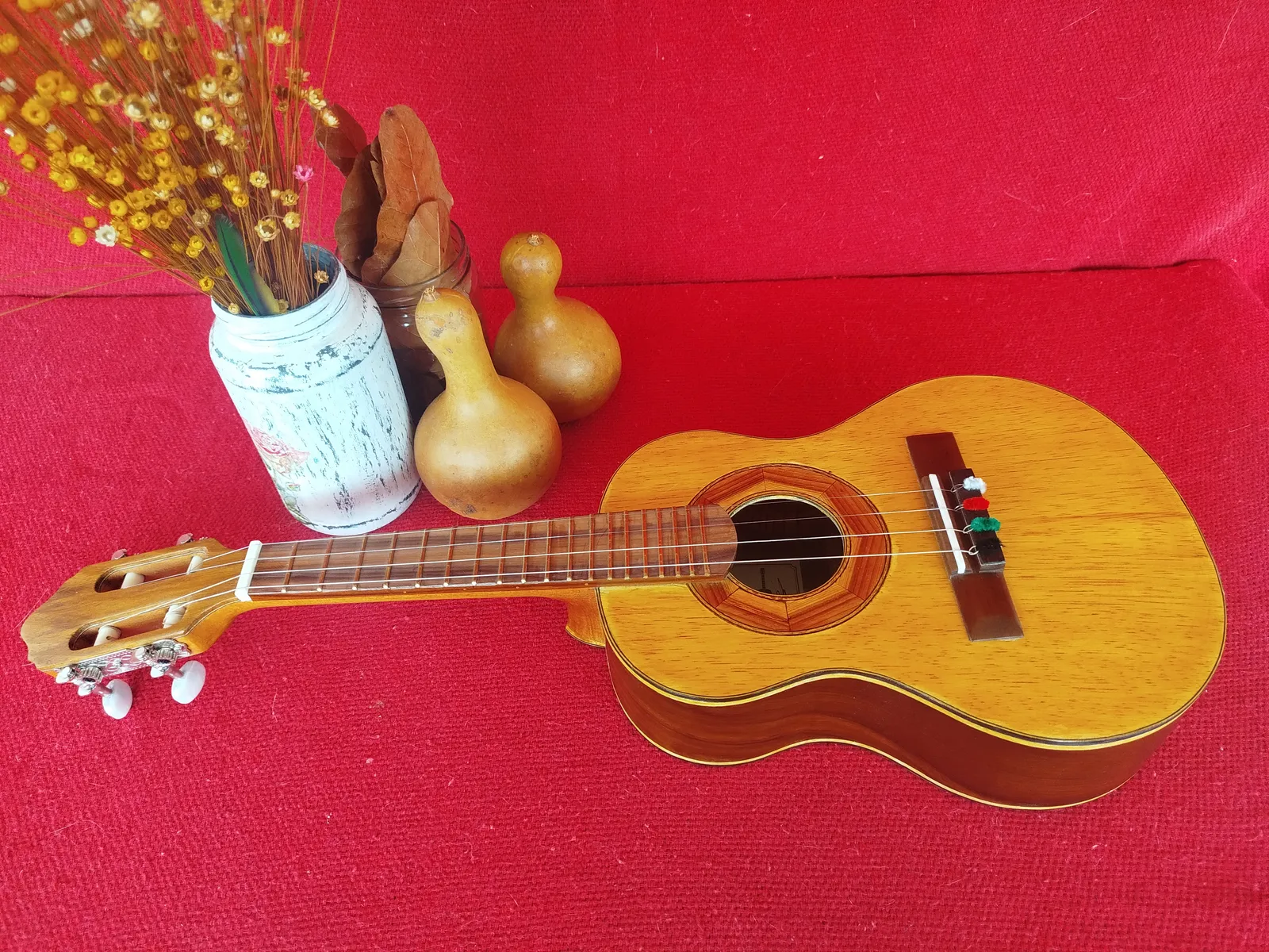 Araúna Cavaquinho
